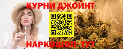 стафф Шелехов