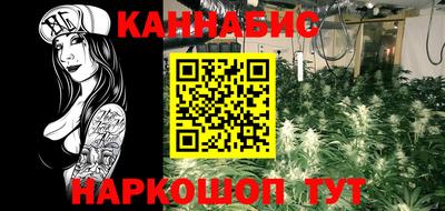 стафф Шелехов