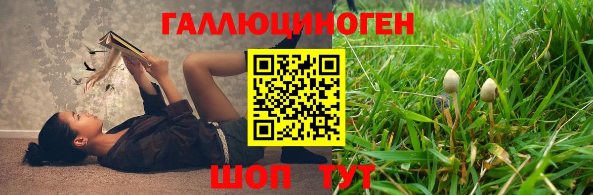 Галлюциногенные грибы Psilocybe Кропоткин