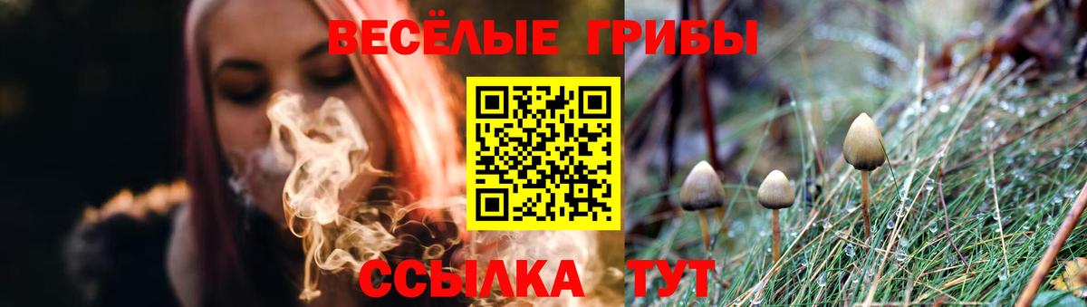 Галлюциногенные грибы Cubensis  Галлюциногенные грибы Psilocybe  Вход с VPN  Кропоткин 